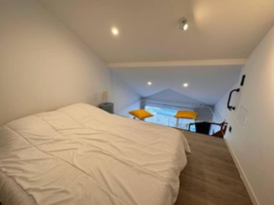 "Le Filet Du Lac" Appartement Atypique, 5 Personnes, Duplex, Vue Lac, Acces Parc Aquatique Gratuit Talmont-Saint-Hilaire Buitenkant foto